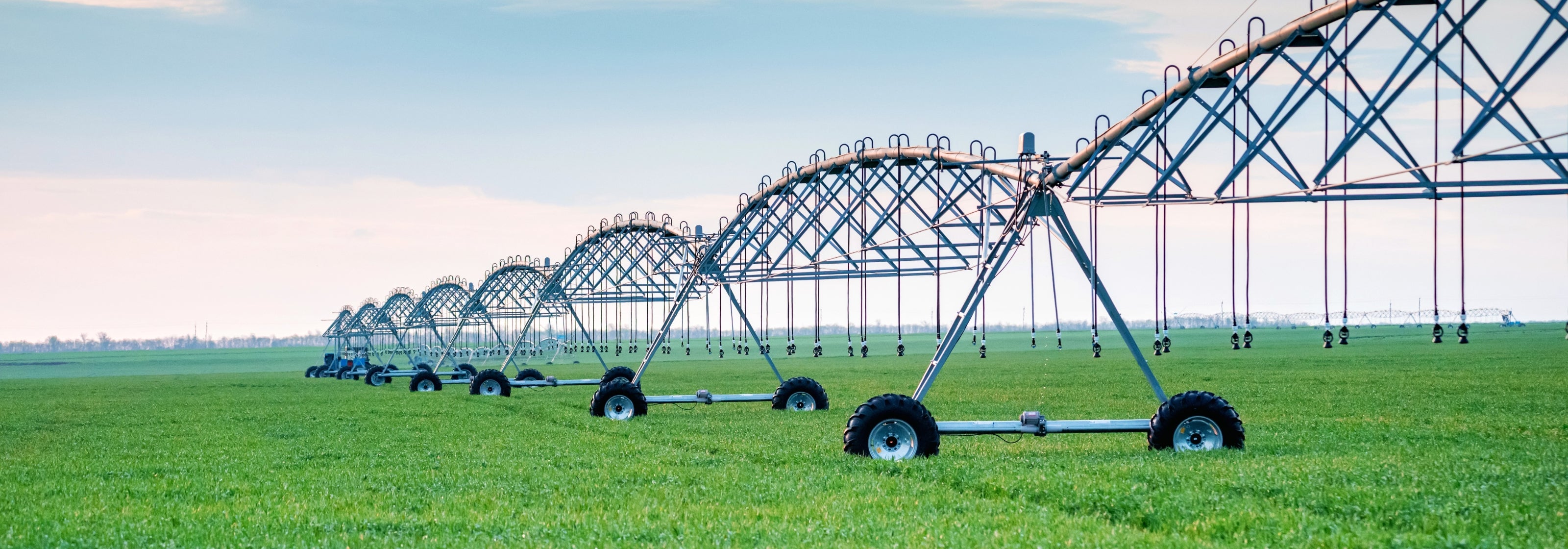 Speziell entwickelte Linearbewegung für Landwirtschaft und Viehzucht