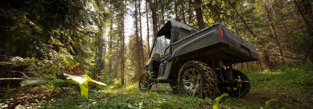 STARTEN SIE DIE ELEKTRIFIZIERUNG MIT LINEARER BEWEGUNG