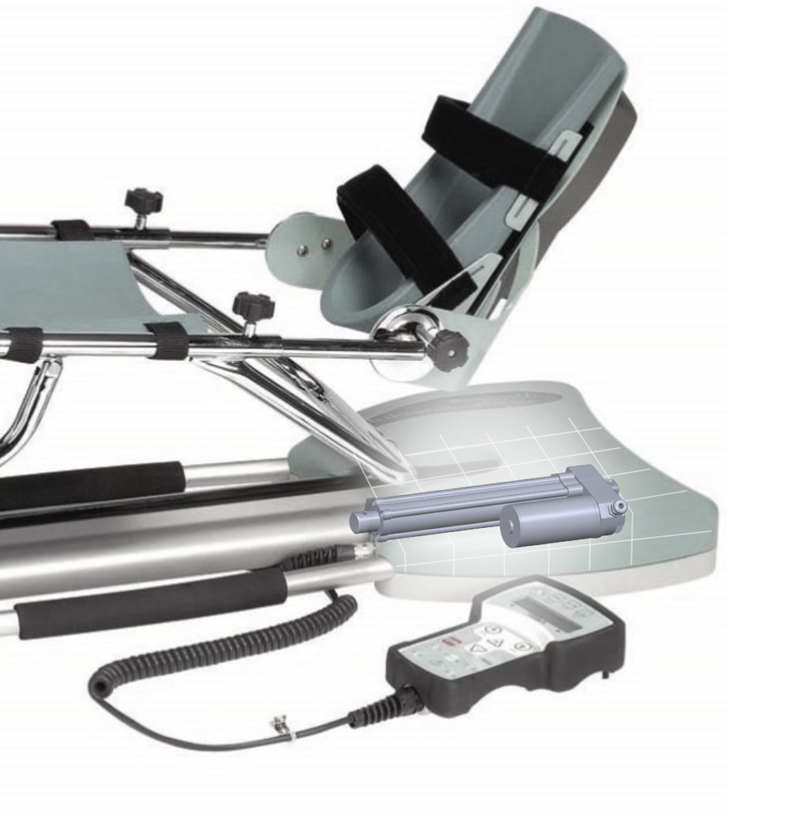 <strong>Flexion und Extension</strong>