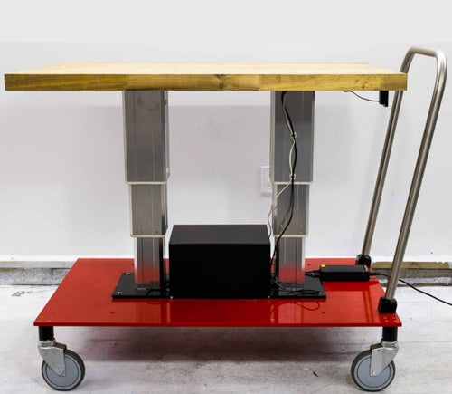 AE Ergonomics Ergo-Cart