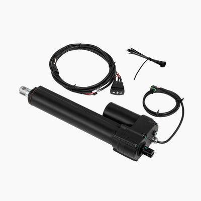 What’s in the Box?