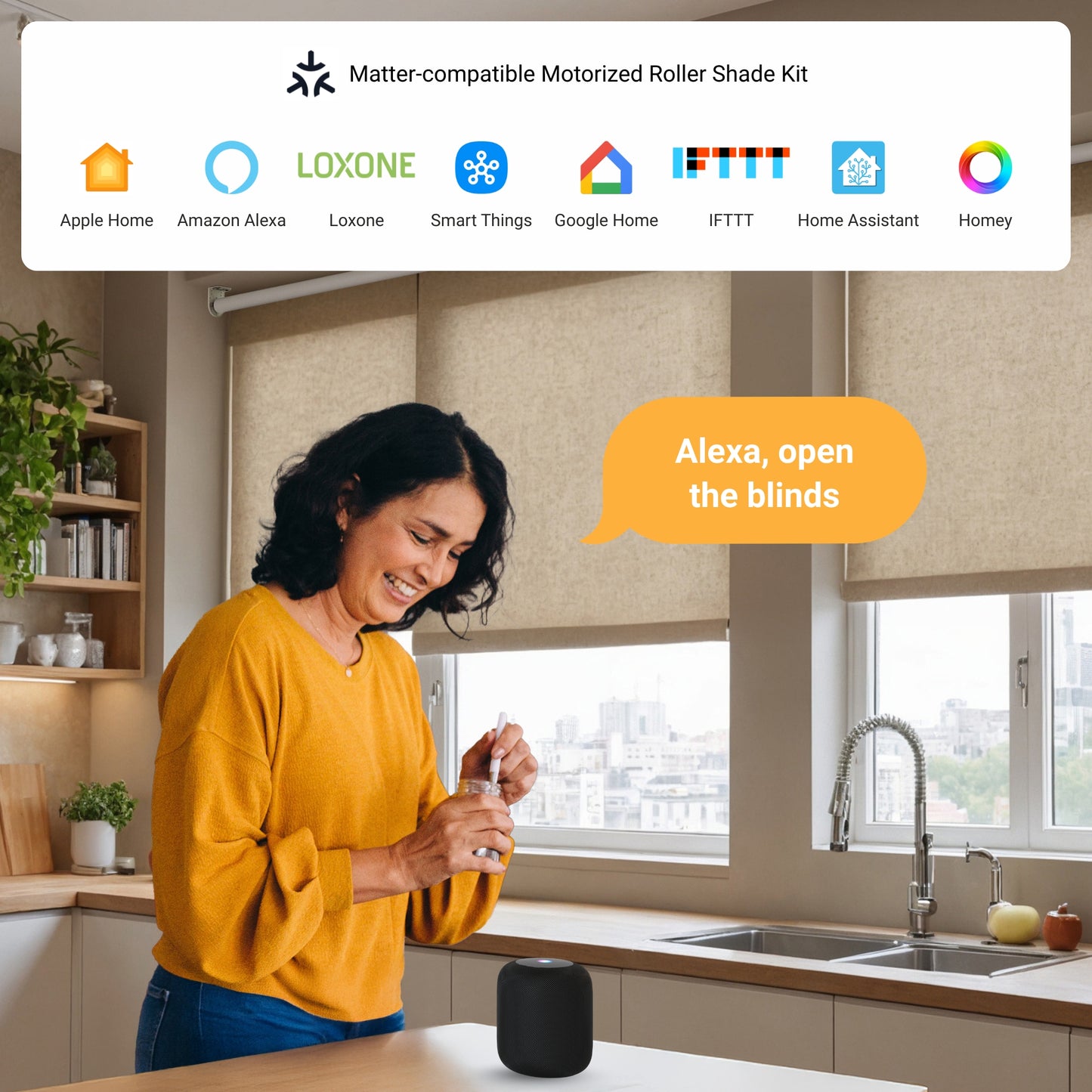 Motorized Roller Shade Retrofit Kit Voice Control