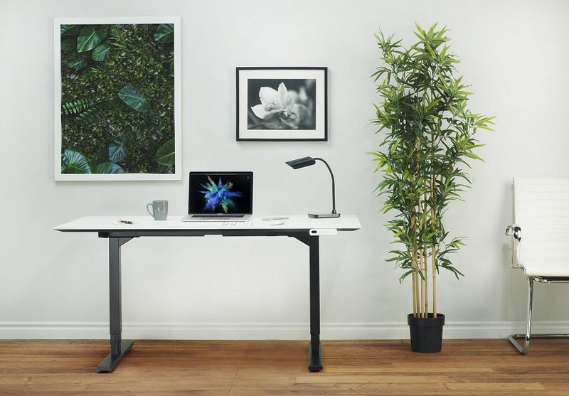 Smart Motorized Home & Office Solutions