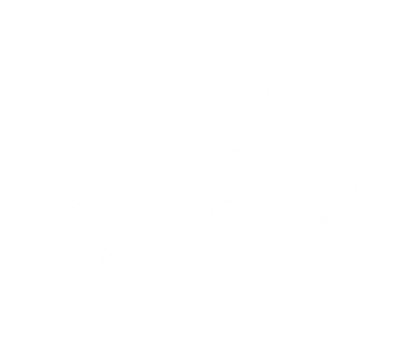 Set it and trust it logo