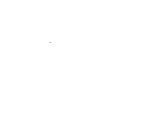 Built for speed logo