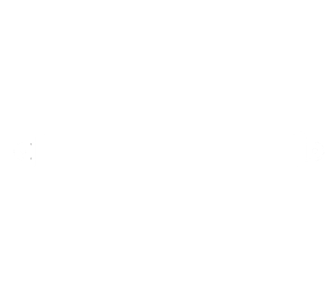 Fast in any weather logo