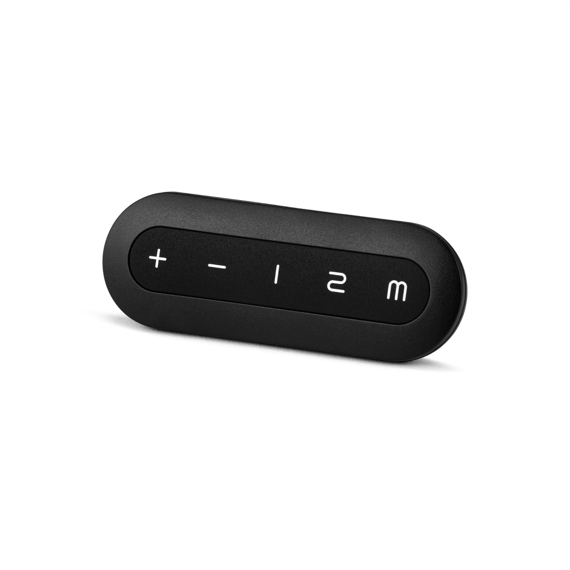 FLT Remote - 2 Memory Positions -  Remote and RF Receiver Kit